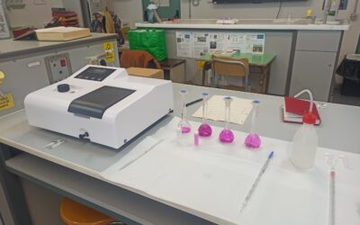 Un’Alleanza per il Futuro